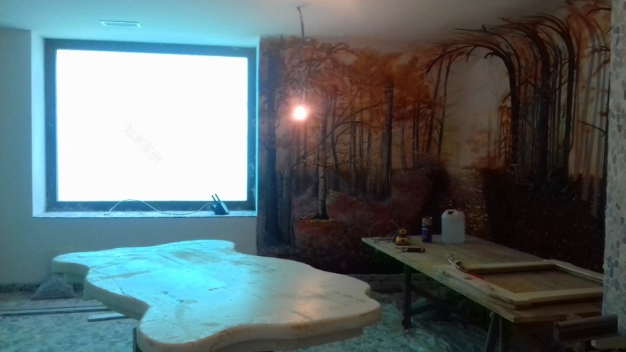 007 电影灵感 · 水底 wellness 中心-11