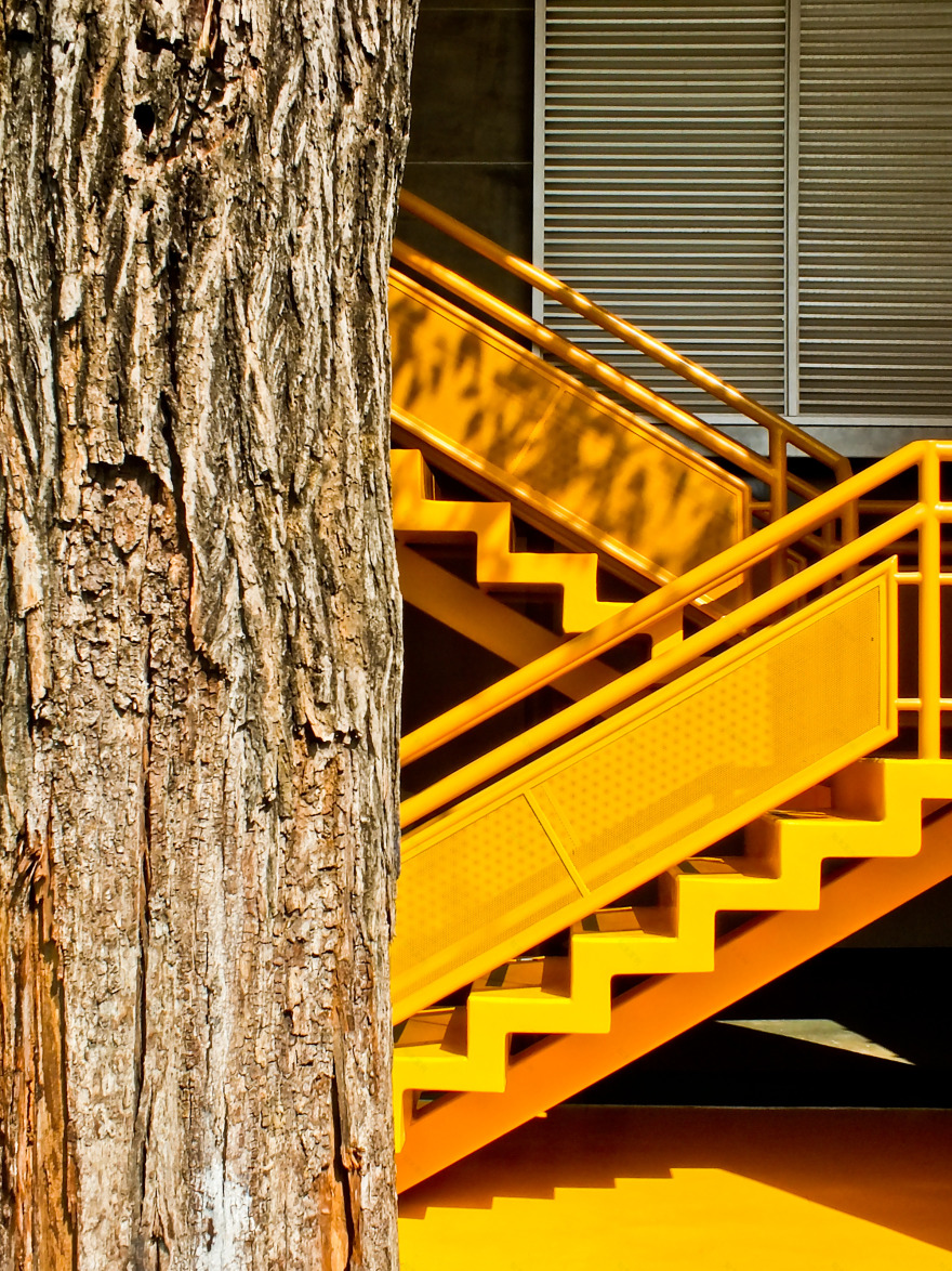 彩绘数据之心,连接自然的校园科技中心-7