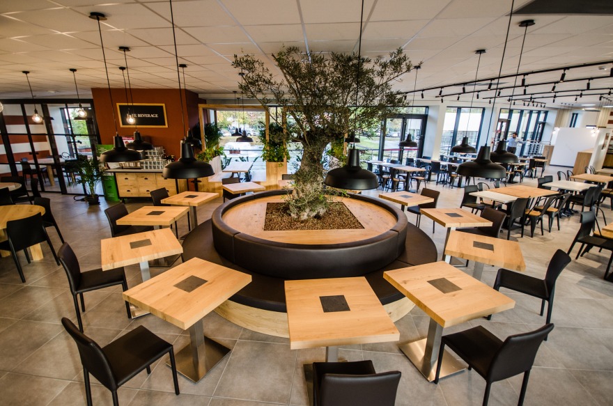 Bioindustry 餐厅设计-4