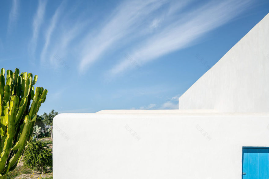 废墟中的生机 | 西班牙 CO 别墅-18