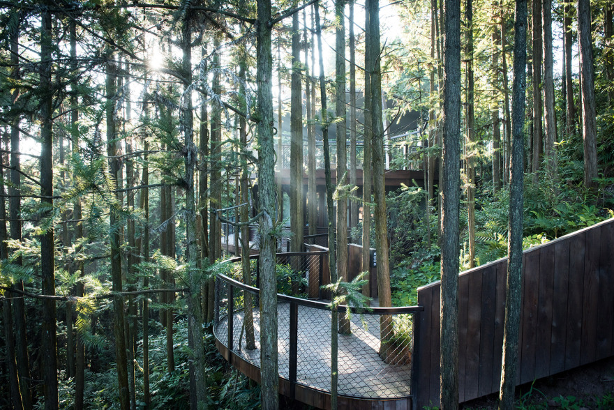 齐云山树屋世界-79