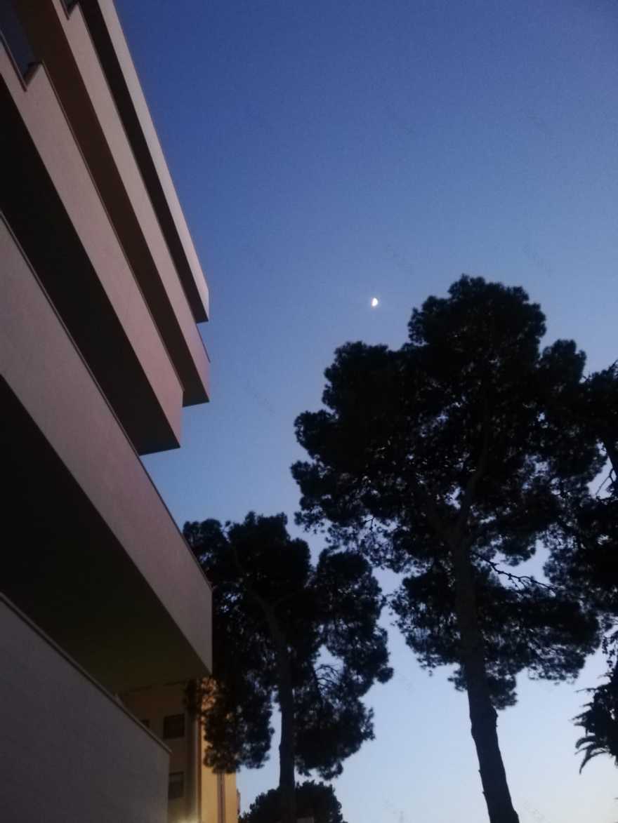 绿意盎然的城市公寓 · PARCO DE GASPERI-32