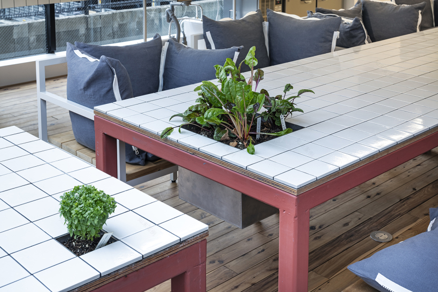 东京槲寄生孵化办公室-4