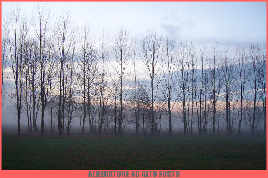 乡村复兴 · 意大利 Paia de Pasqua 农业社区项目-16