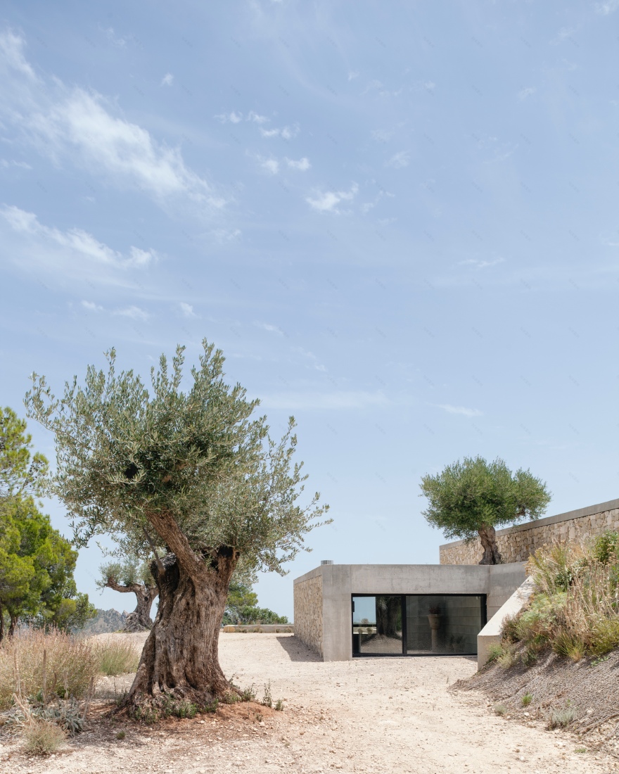 迈格莫山上的房子-19