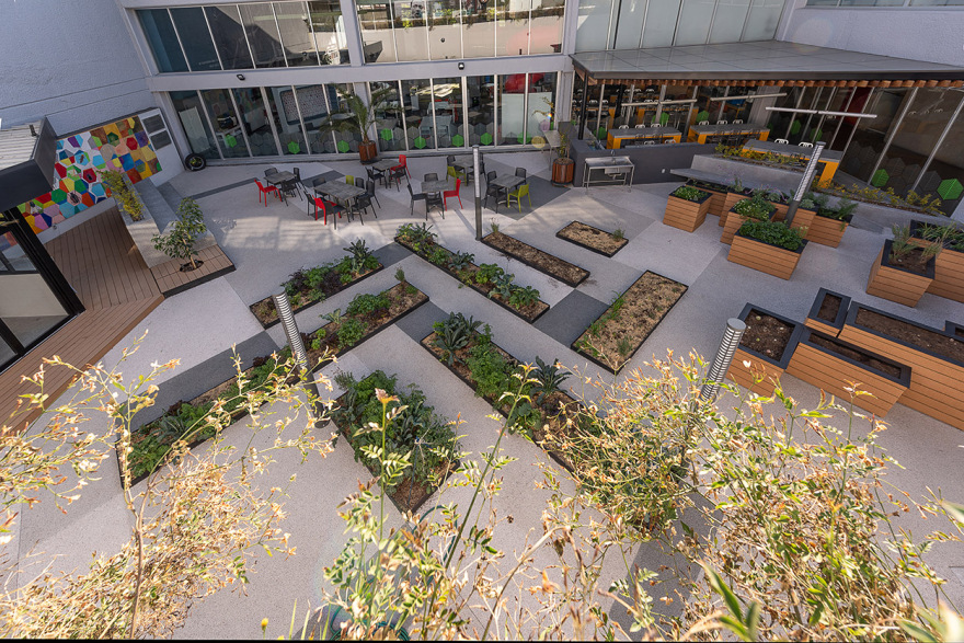 墨西哥环保校园农场设计-15