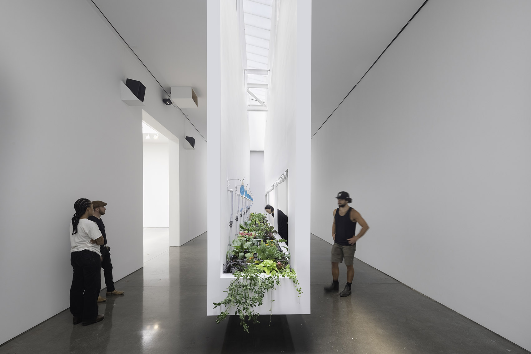 “我们真的有那么不同吗?”城市农场展丨美国纽约丨DS+R-21