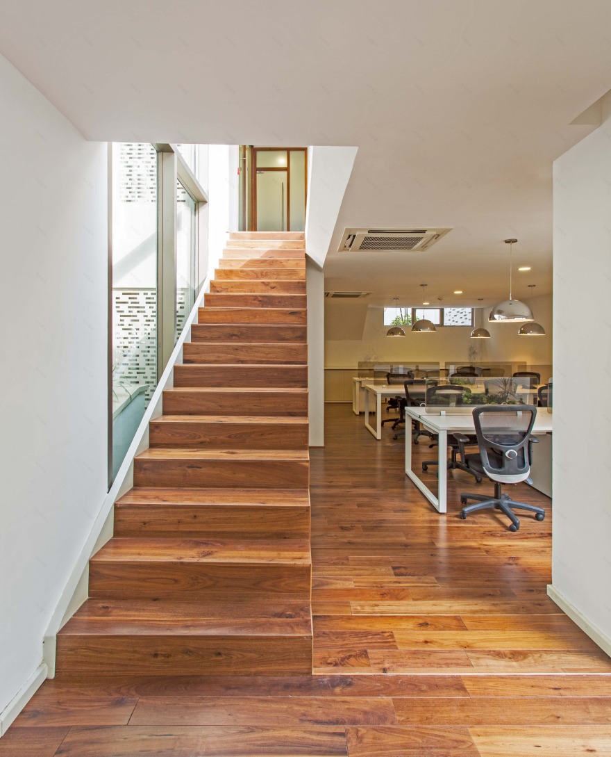 SPS 办公空间 | 城市密境中的绿意探索-6