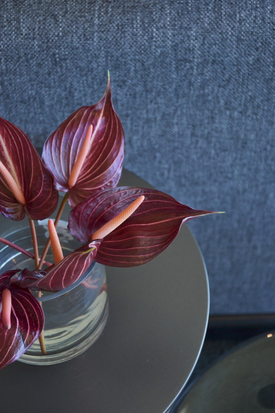 里约科萨 2017-20