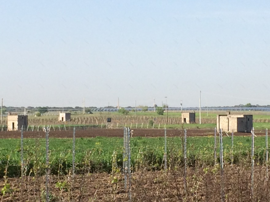 意大利乡村“贵族小屋”变身为葡萄酒度假胜地-15