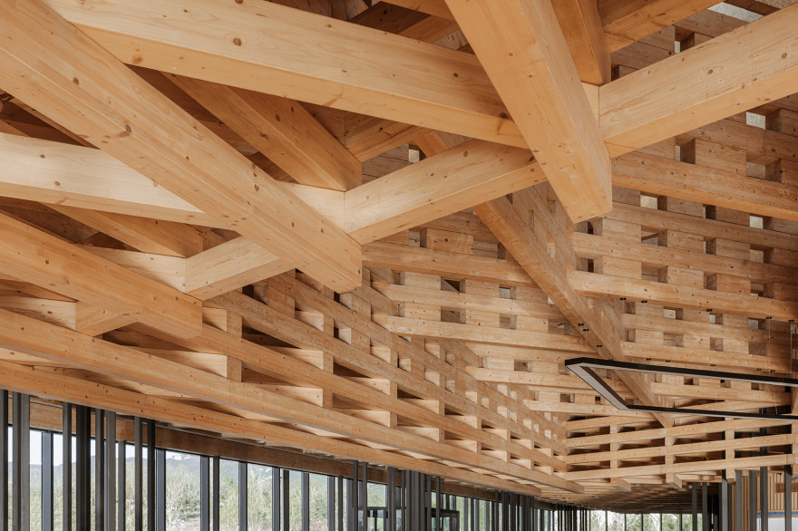 太原植物园丨中国太原丨DMAA-59