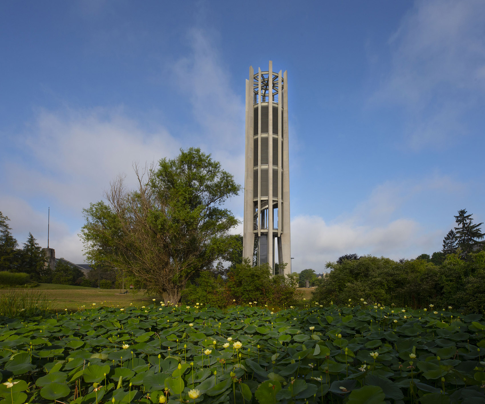 印第安纳大学钟琴塔，美国/印第安纳大学两百周年校庆的纪念钟塔-23