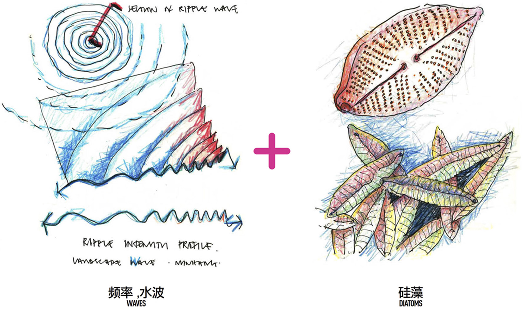 上海闵行横泾港东岸滨水景观公共空间改造/河流和环境的活力再生-20