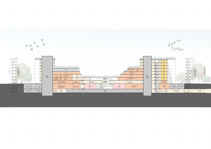 石家庄赵华医院发展-8