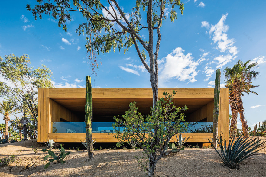 Toro Gastrobar 餐厅设计-18