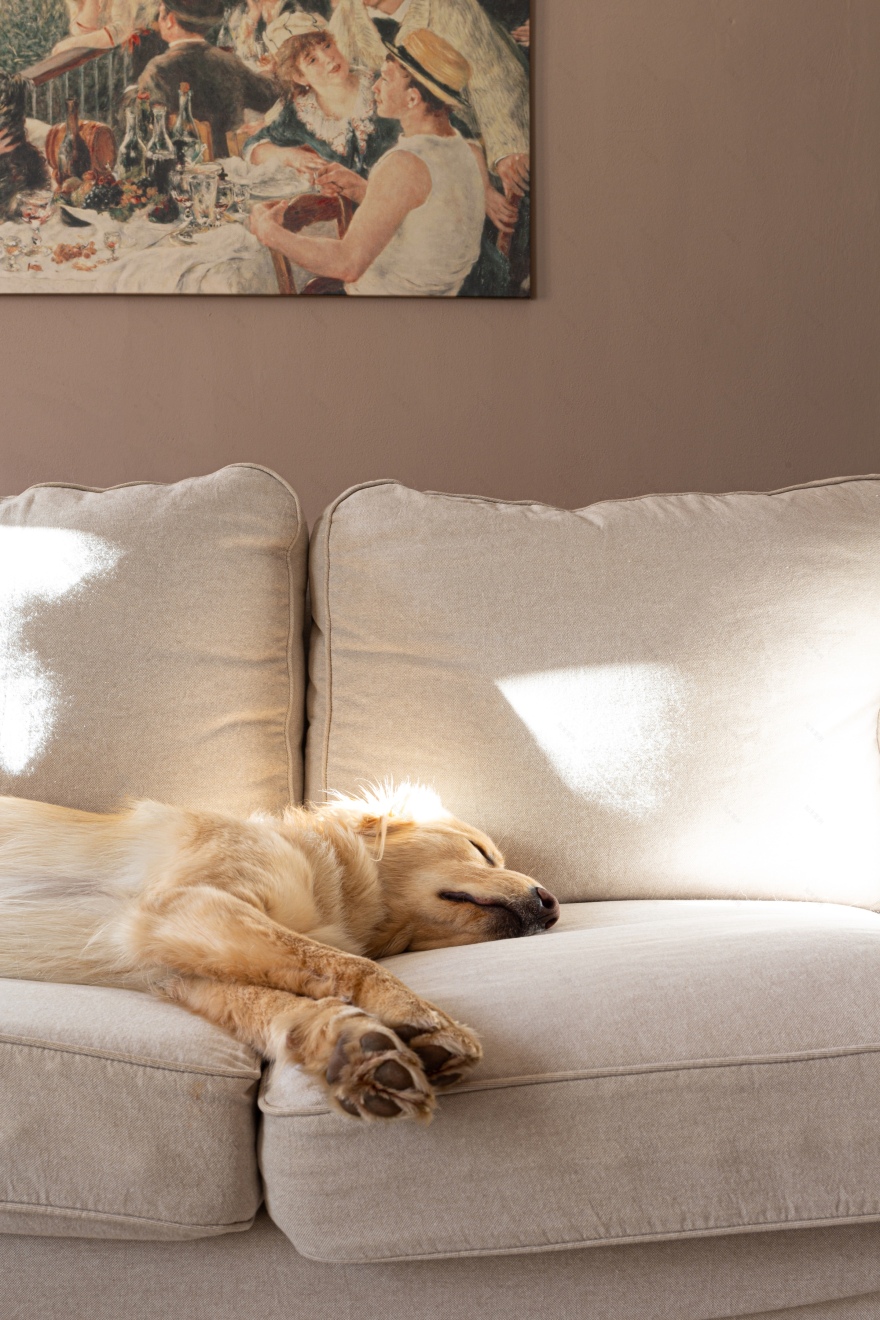 50 年代建筑的明亮客厅改造丨意大利韦尔切利-3