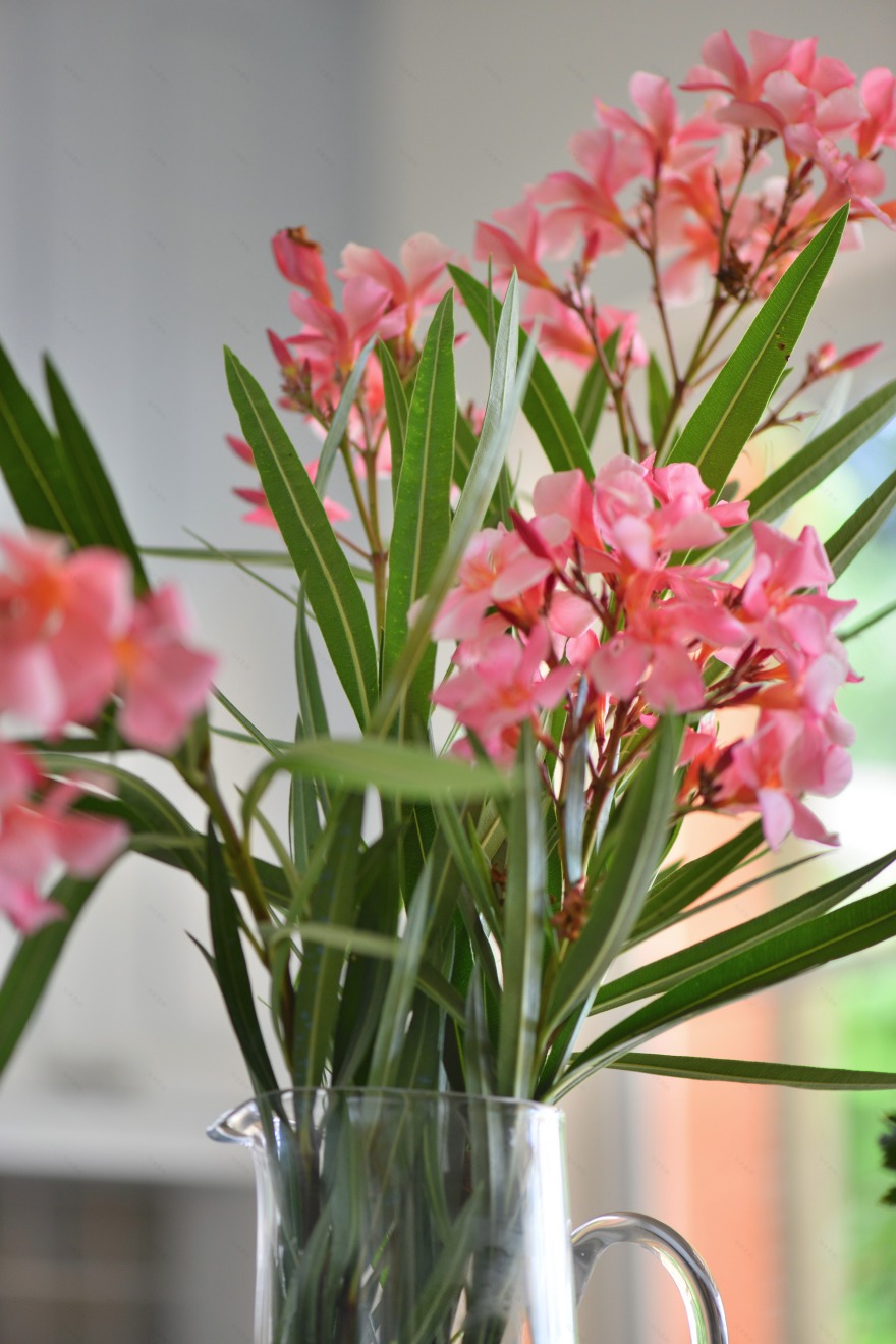 光耀 Belle Époque 别墅-21