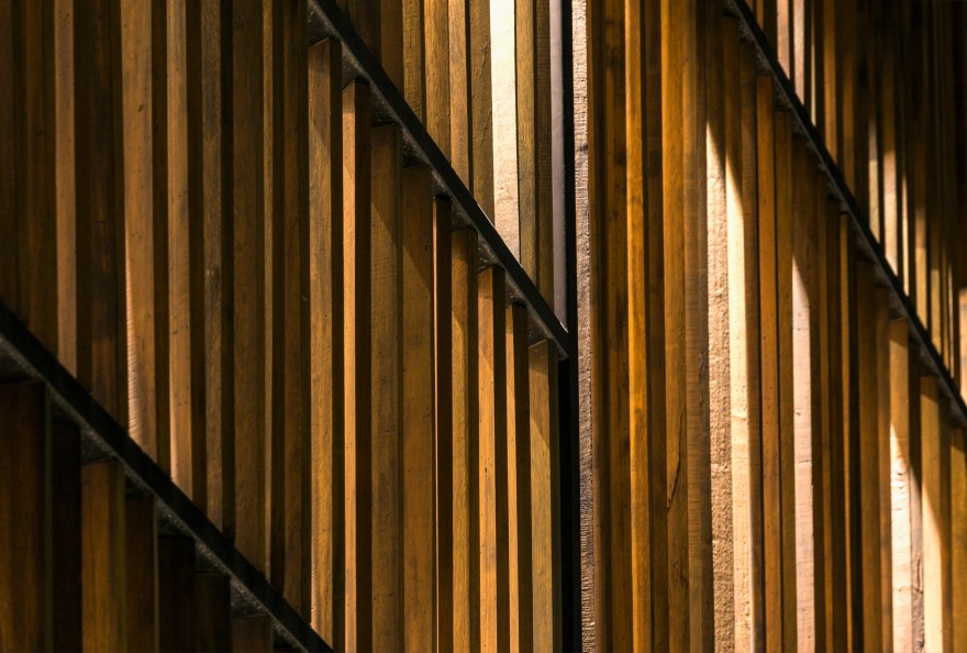 繁忙城市中的宁静绿洲——印度 Panchkula 别墅 Pool House-9