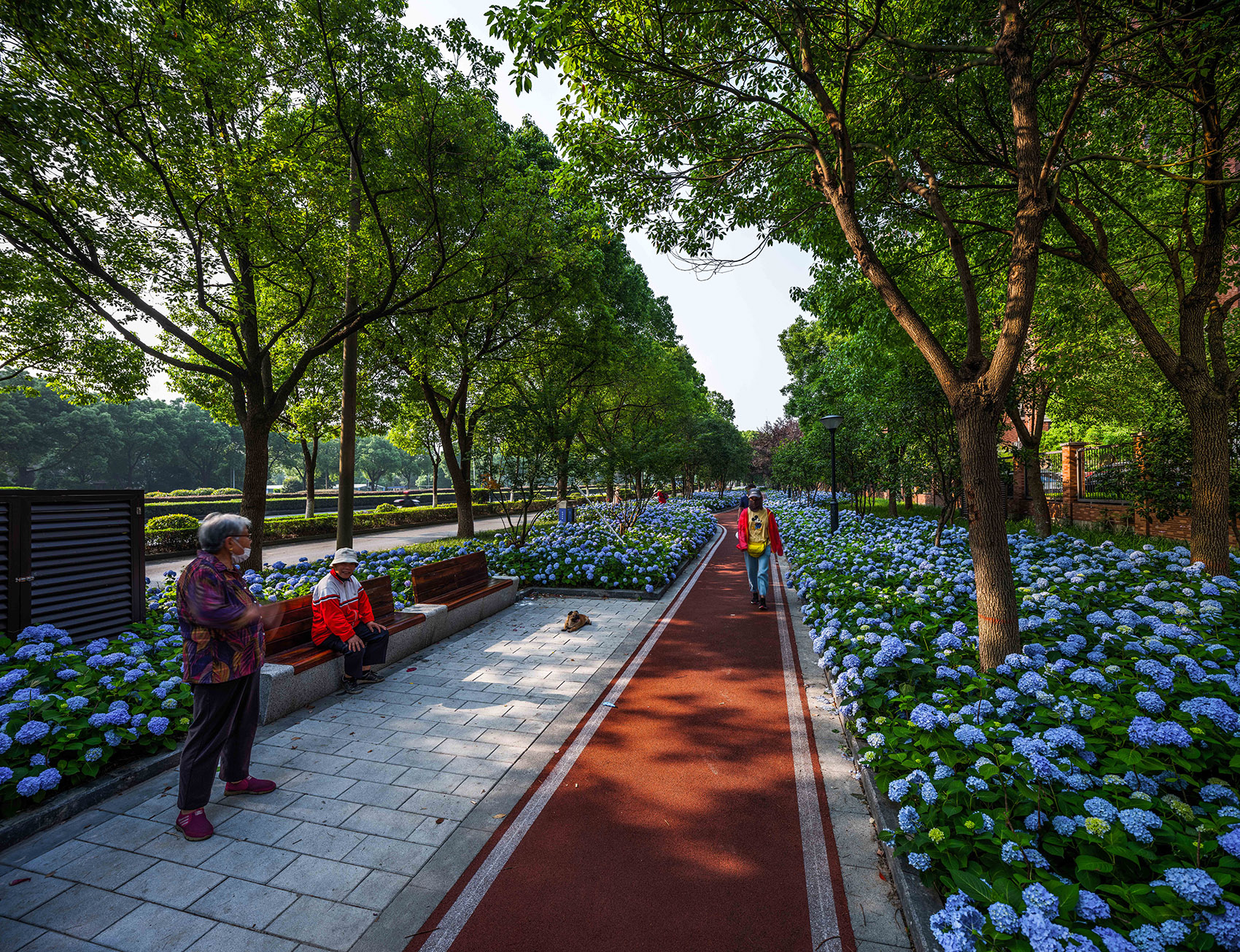 嘉兴口袋公园，浙江/美好花园理念下的城市微更新-64