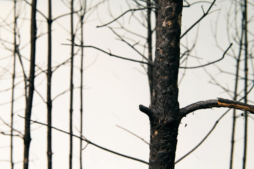 “呼唤希望”沉浸式装置丨奥地利维也纳丨Superflux设计工作室-65