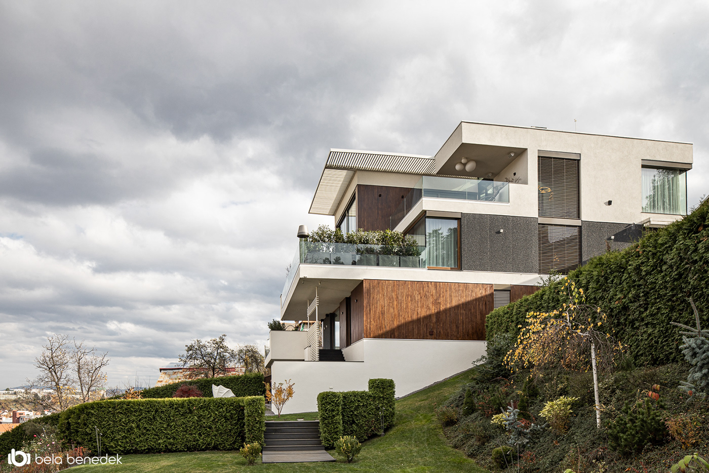 Stefan Vlad丨别墅建筑丨House X-1