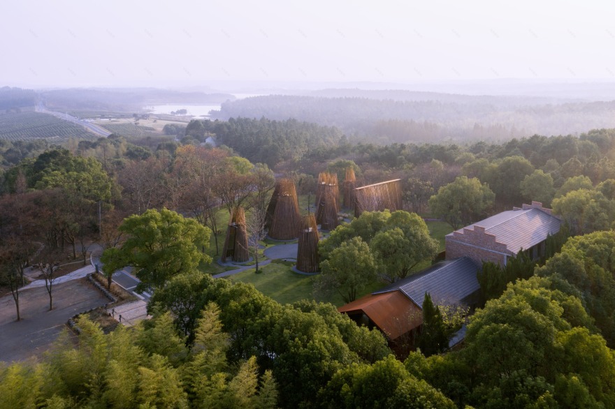 森林中的森林——溧阳杨湾游客中心-19