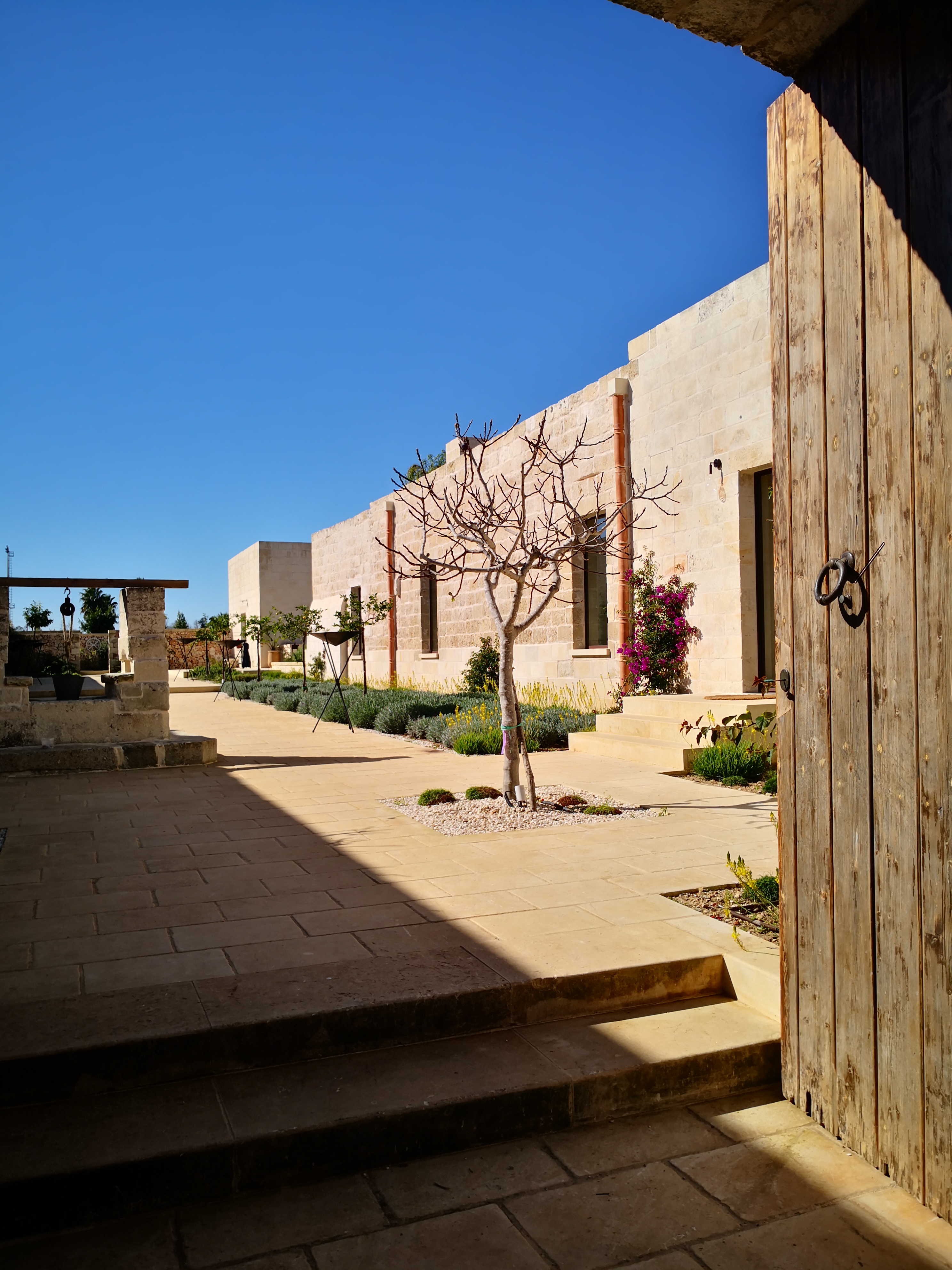 Masseria Corte degli Aromi-15