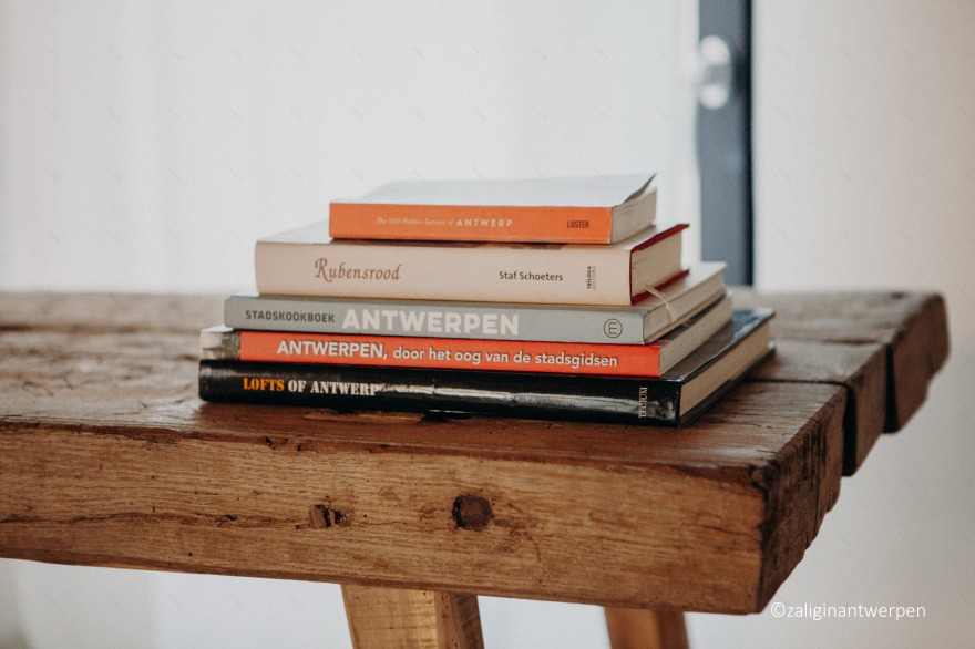 比利时安特卫普十五世纪老屋翻新成豪华度假屋-20