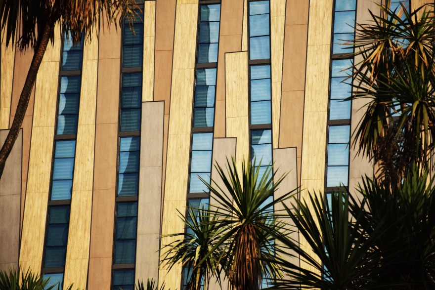 智利生态酒店(Hotel Nodo)-5