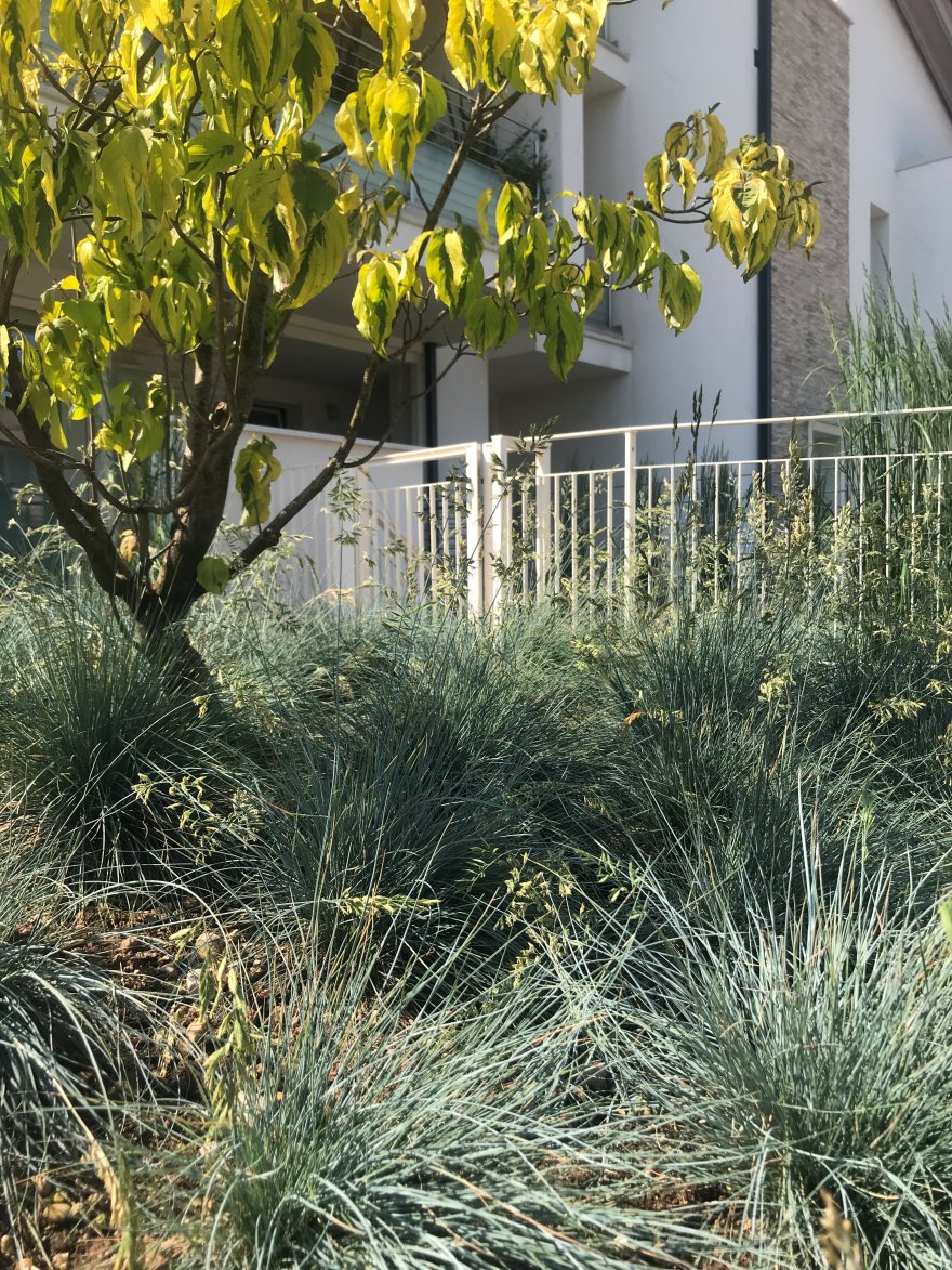 斜坡之上,日式庭院的竹影婆娑-5