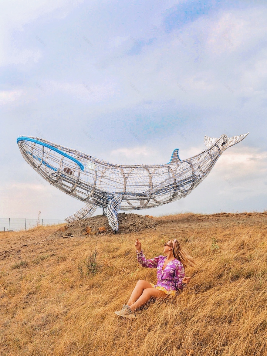 Tavrida·Art 音乐节-88