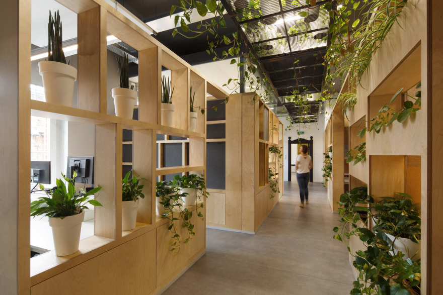 波兰哥特式旧邮局里的创意绿意办公空间-18