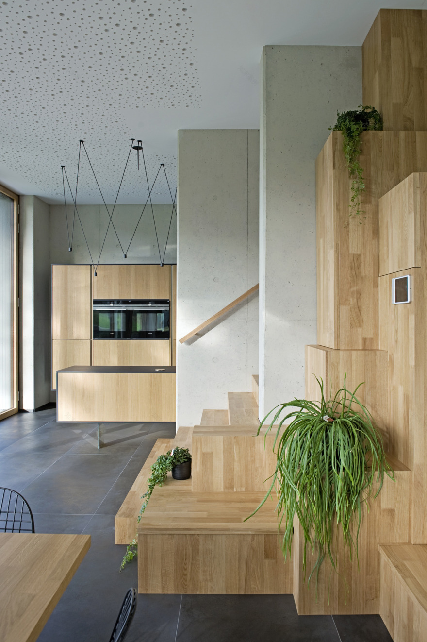 卢森堡大型被动式木质混凝土别墅-7