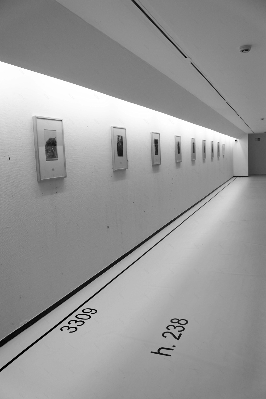 "Io, Luca Vitone"展览 | 重现经典建筑原貌-9