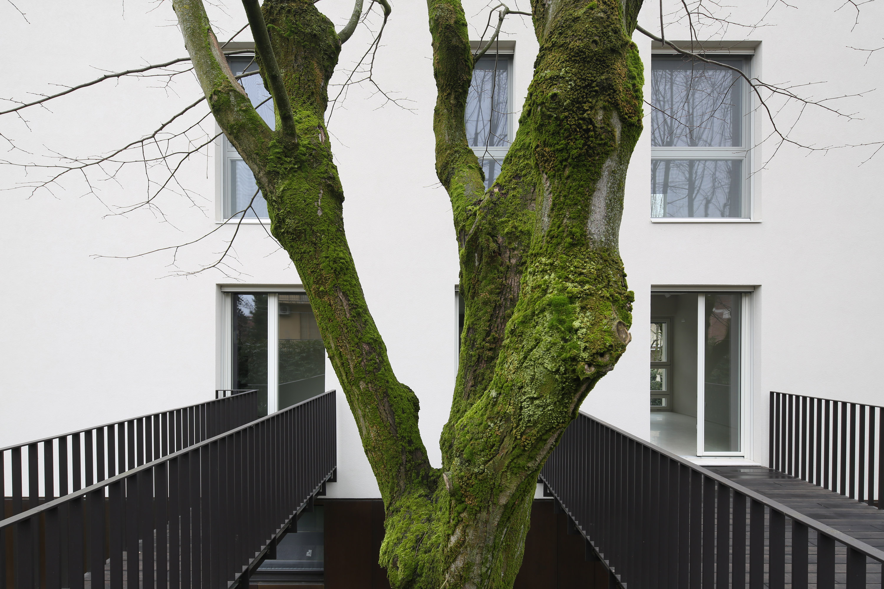 五十年代住宅的现代复兴-0