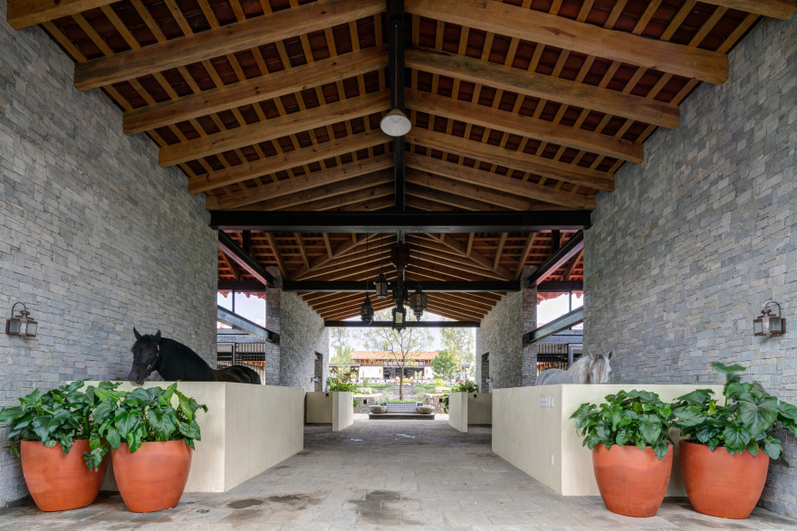 拉斯特拉牧场-6