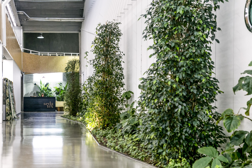 塞德泰克斯办公室-1