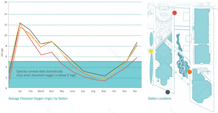 马里兰州漂浮湿地 | 新型技术助力可持续生态恢复-21