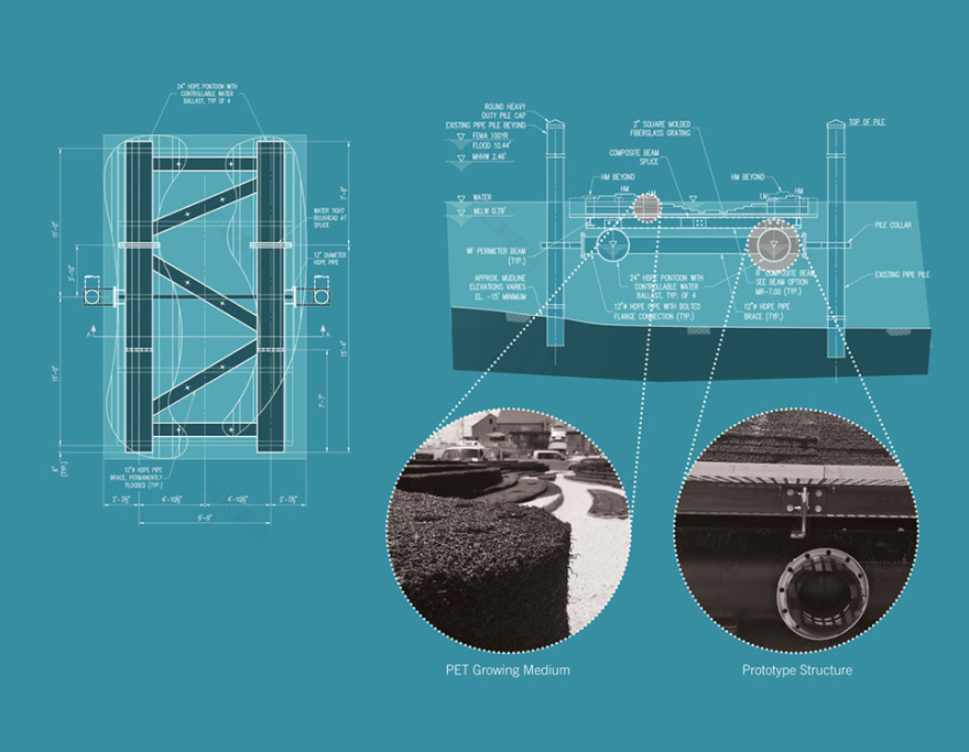马里兰州漂浮湿地 | 新型技术助力可持续生态恢复-42