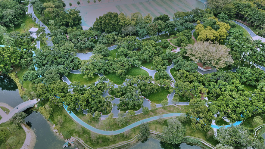 四海公园景观提升工程-7