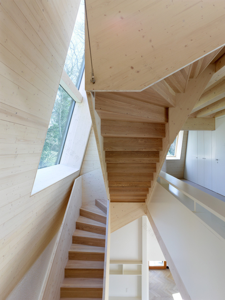 瑞士森林别墅和谐融入自然-5