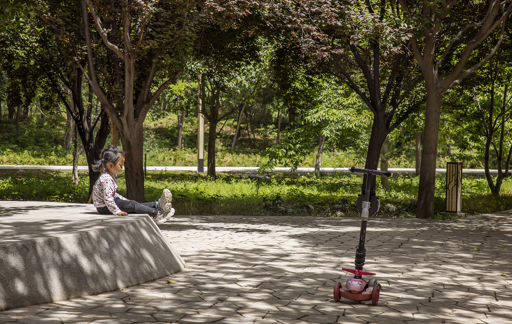 郑州古树苑公园一期景观提升，河南/老树的新生-36