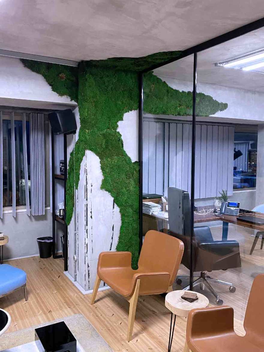 皇家松树与垂直花园的绿色办公空间-11