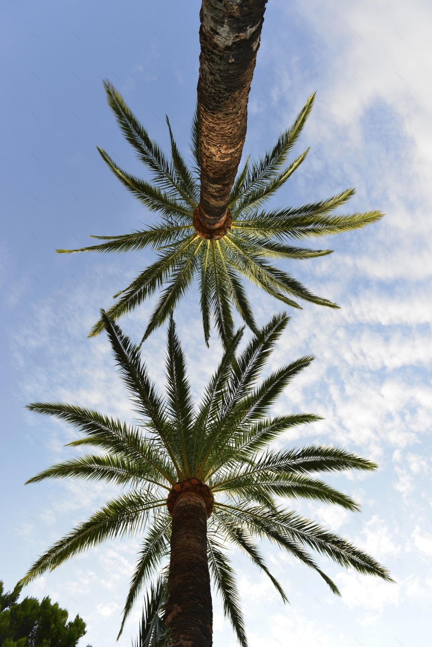 光耀 Belle Époque 别墅-4