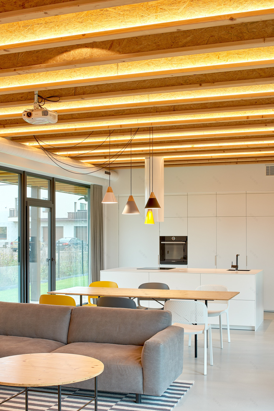 融合传统与现代的立陶宛乡村别墅设计-17