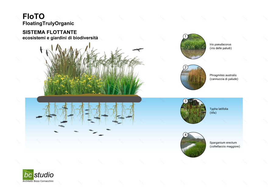 FloTO 绿色漂浮公园丨bc studio-5