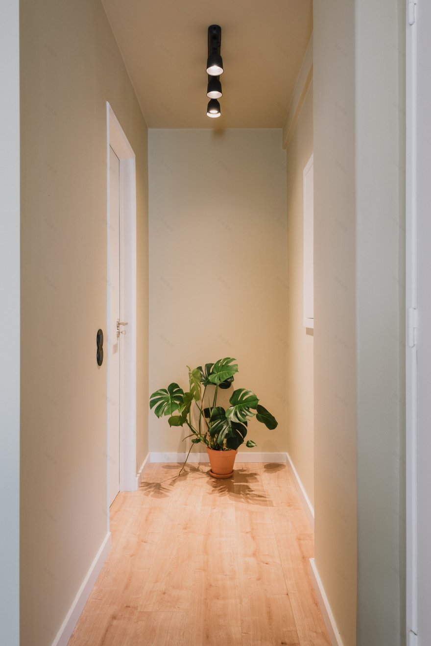 预算紧张的现代主义公寓改造-4