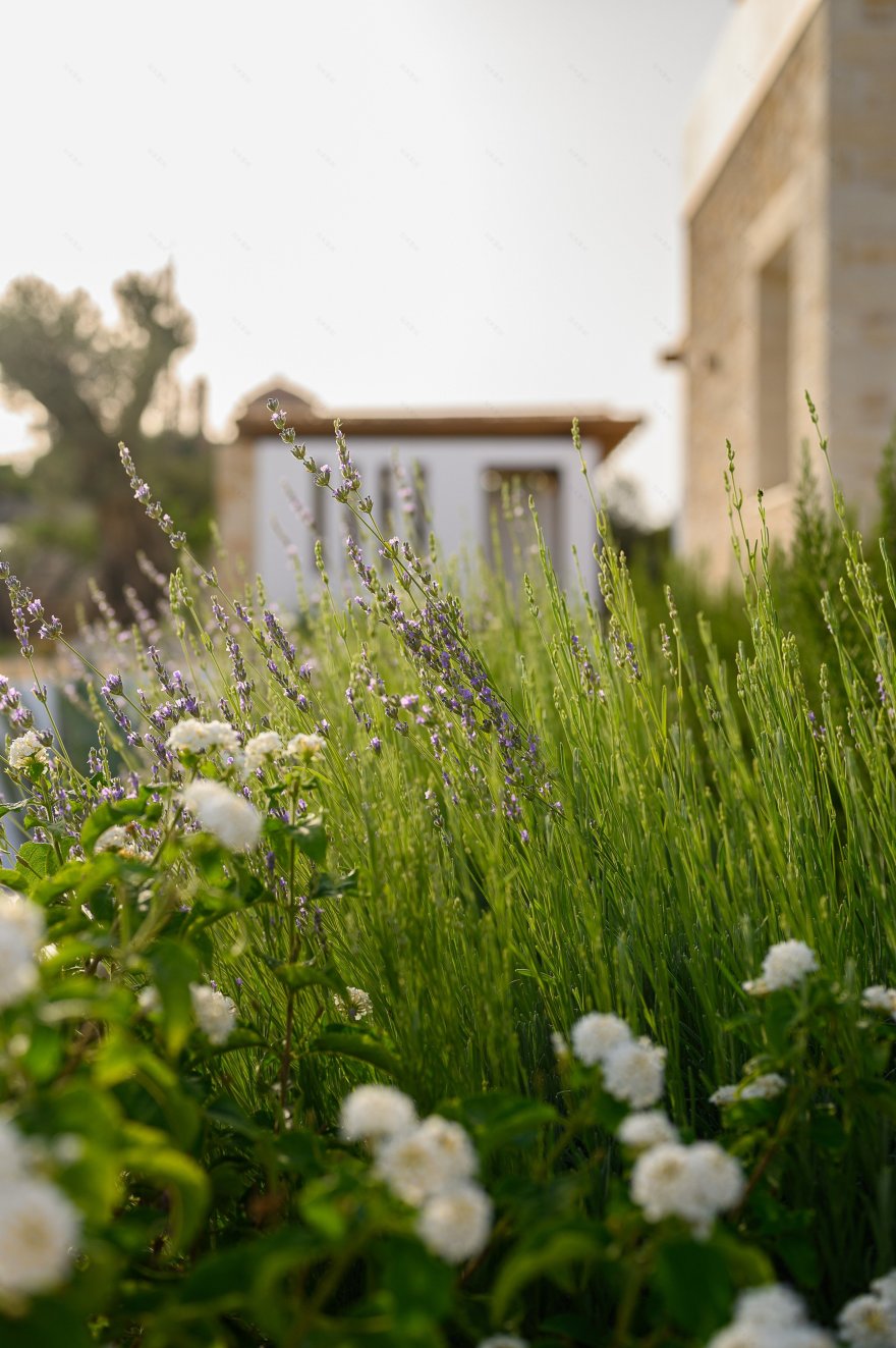 克里特岛度假别墅丨希腊-12