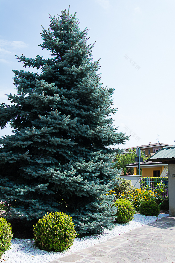 Villa C· 庭院设计丨意大利丨Vivaio Dordoni-1