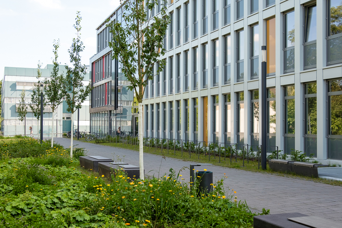波恩大学校园开放空间，德国/承继当地园艺传统，重新激活校园空间-47